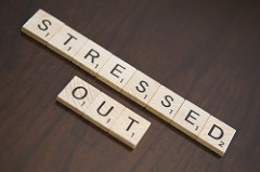 Resilience and Stress Management workshop: Strategies to maintain excellence at Work